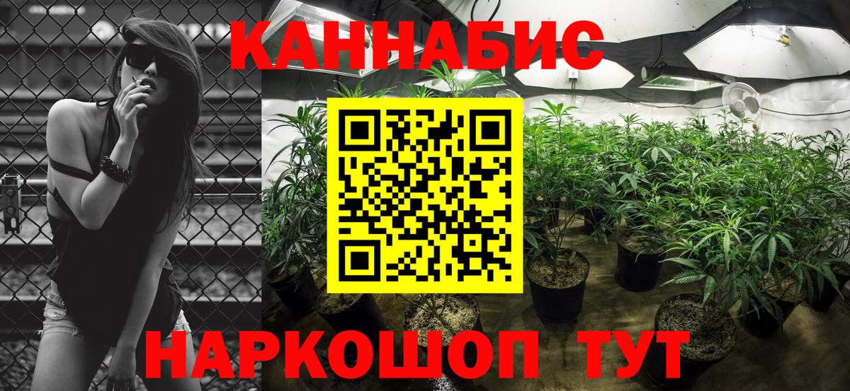 МАРИХУАНА семена  Вход с VPN  Минеральные Воды  Конопля индика 